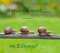 Wir freuen uns auf Ihren Kontakt