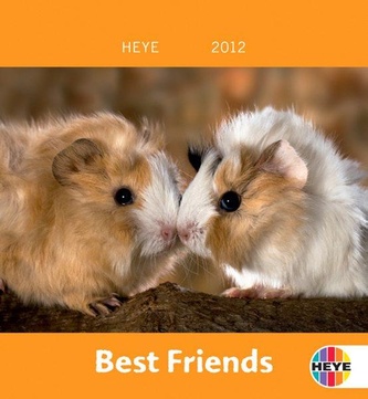Best Friends – Meerschweinchen