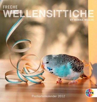 Freche Wellensittiche