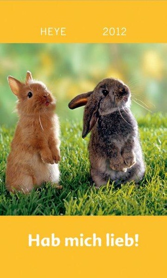Hab mich lieb – Kaninchen