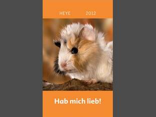 Hab mich lieb – Meerschweinchen
