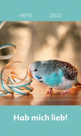 Hab mich lieb – Wellensittiche