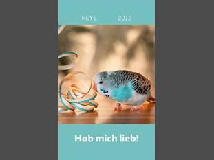 Hab mich lieb – Wellensittiche