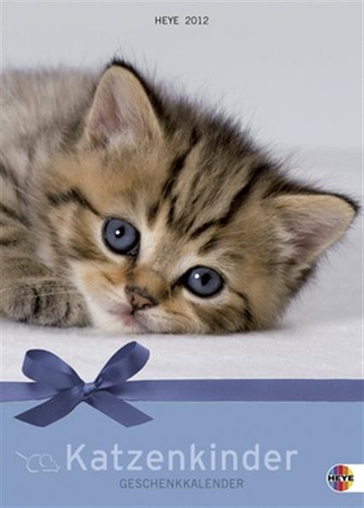 Katzen Geschenkkalender mit Kuvert-Groß