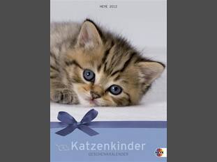 Katzen Geschenkkalender mit Kuvert-Groß