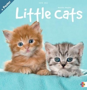 Little Cats