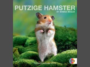 Putzige Hamster