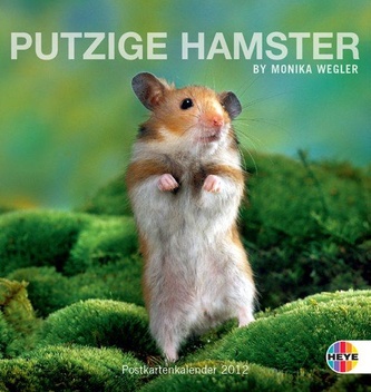 Putzige Hamster