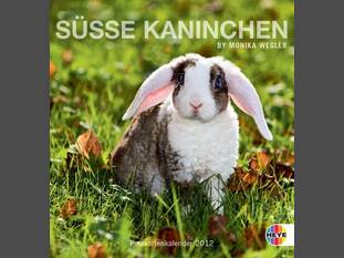 Süsse Kaninchen
