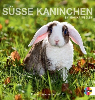 Süsse Kaninchen