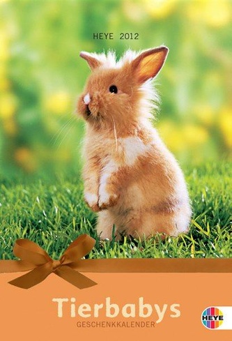 Tierbabys Geschenkkalender mit Kuvert