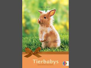 Tierbabys Geschenkkalender mit Kuvert