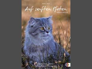 Auf sanften Pfoten – Monatsplaner