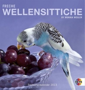 Freche Wellensittiche