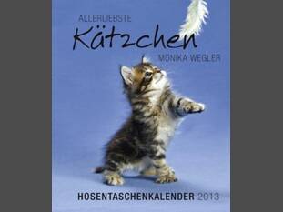 Kätzchen – Hosentaschenkalender