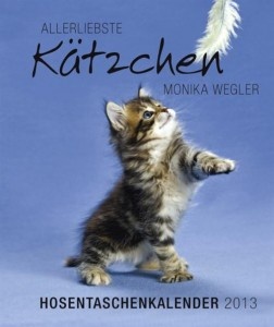 Kätzchen – Hosentaschenkalender