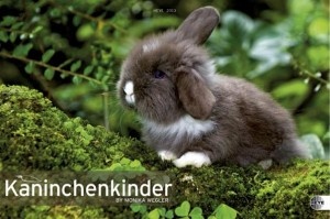 Kaninchenkinder – Posterkalender