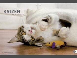 Katzen – Meine Freunde