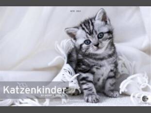 Katzenkinder-Posterkalender