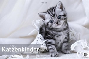 Katzenkinder-Posterkalender