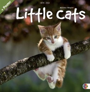 Little Cats