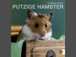 Putzige Hamster