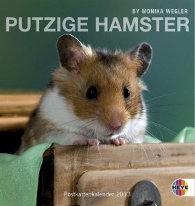 Putzige Hamster