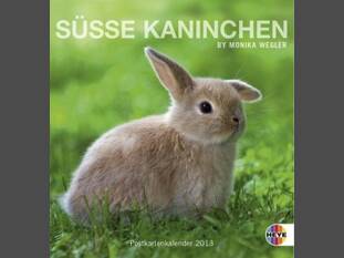 Süsse Kaninchen