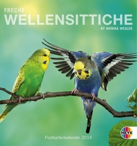 Freche Wellensittiche