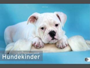 Hundekinder