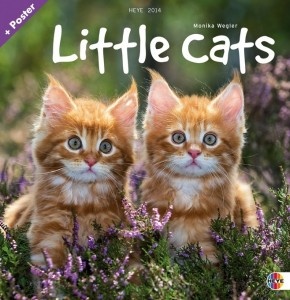 Little Cats