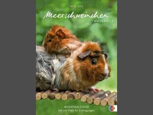 Meerschweinchen Monatsplaner
