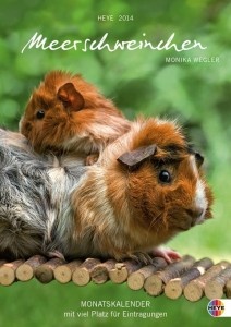 Meerschweinchen Monatsplaner