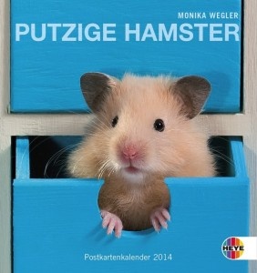 Putzige Hamster