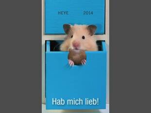 Hamster Hab mich lieb!