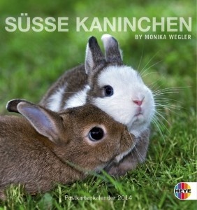 Süsse Kaninchen