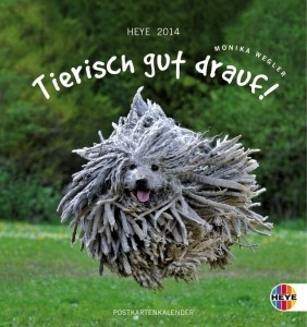 Tierisch gut drauf Postkartenkalender 2014