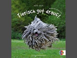 Tierisch gut drauf Postkartenkalender 2014