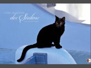 Unter der Sonne des Südens