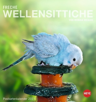 Freche Wellensittiche
