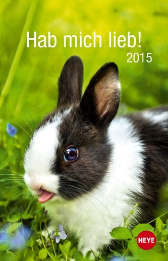 Hab mich lieb Kaninchen