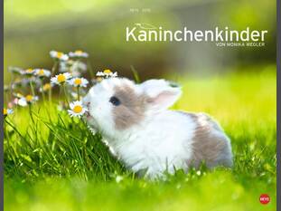 Kaninchenkinder