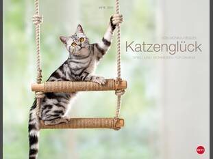 Katzenglück 2015