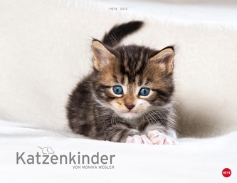 Katzenkinder 2015