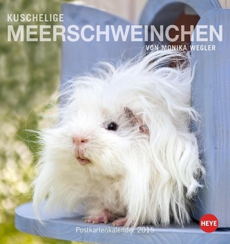 Kuschelige Meerschweinchen