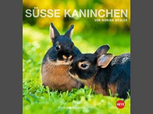 Süsse Kaninchen