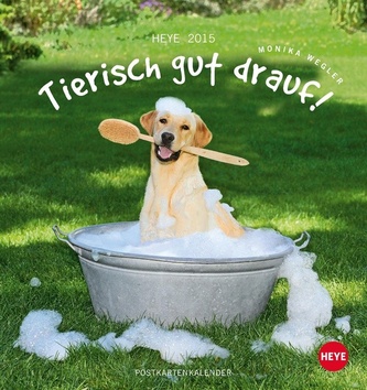 Tierisch gut drauf Postkartenkalender 2015