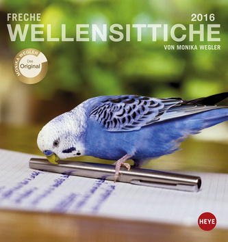 Freche Wellensittiche 2016