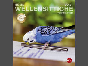 Freche Wellensittiche 2016