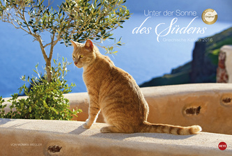 Griechische Katzen 2016